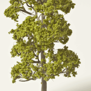Laubbaum naturgrün, h = 75