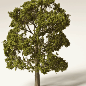 Laubbaum naturgrün, h = 100