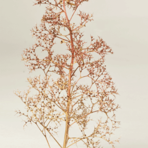 Filigranbaum klein h = ca. 80 mm
